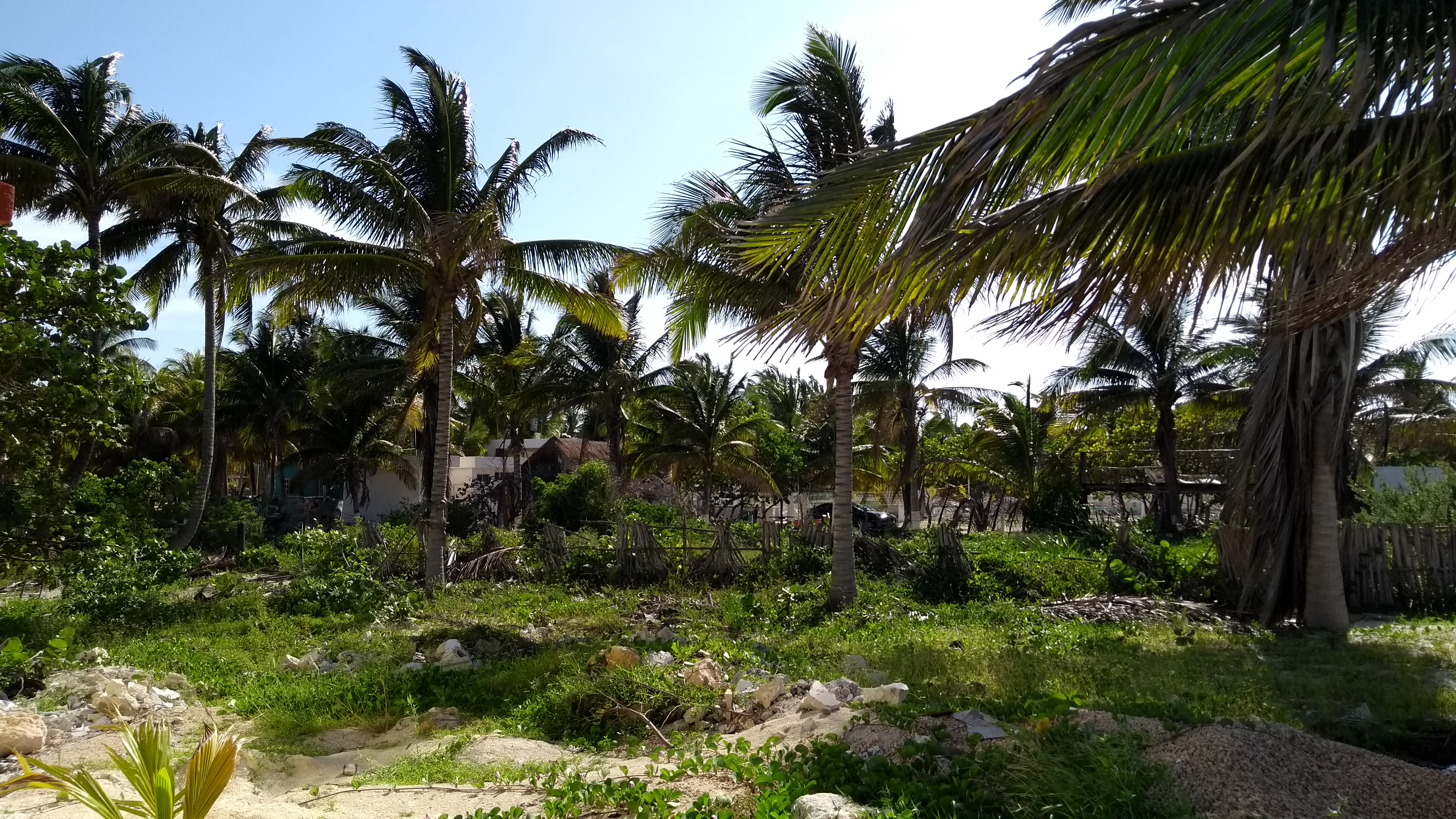 IMG_20170820_162710866