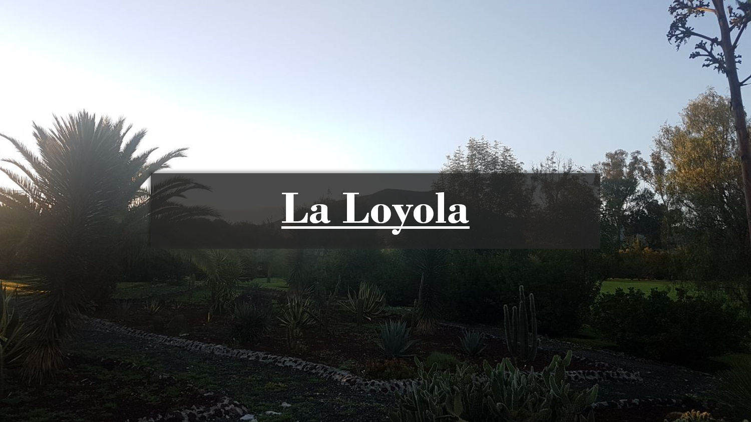 La Loyola