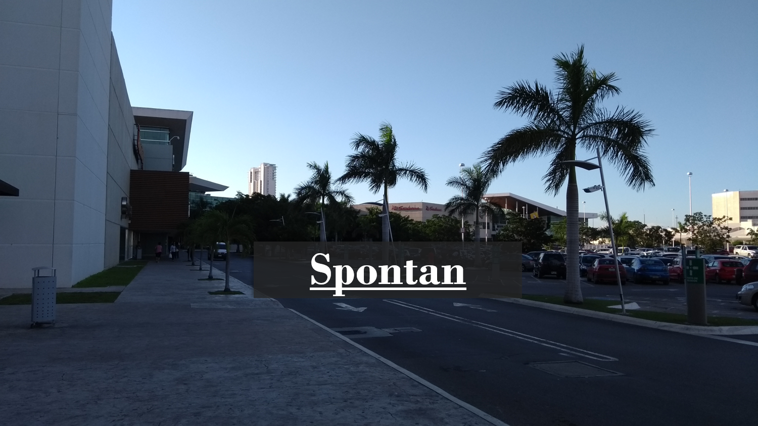 Spontan