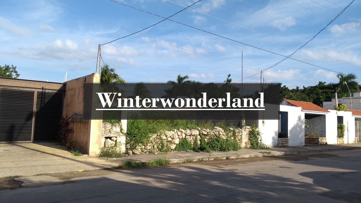 Winterwonderland