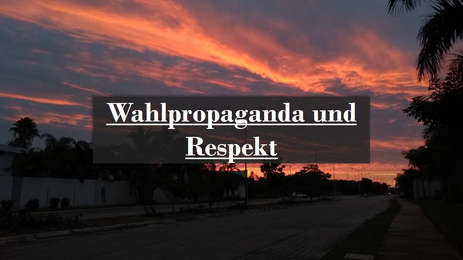 Wahlpropaganda