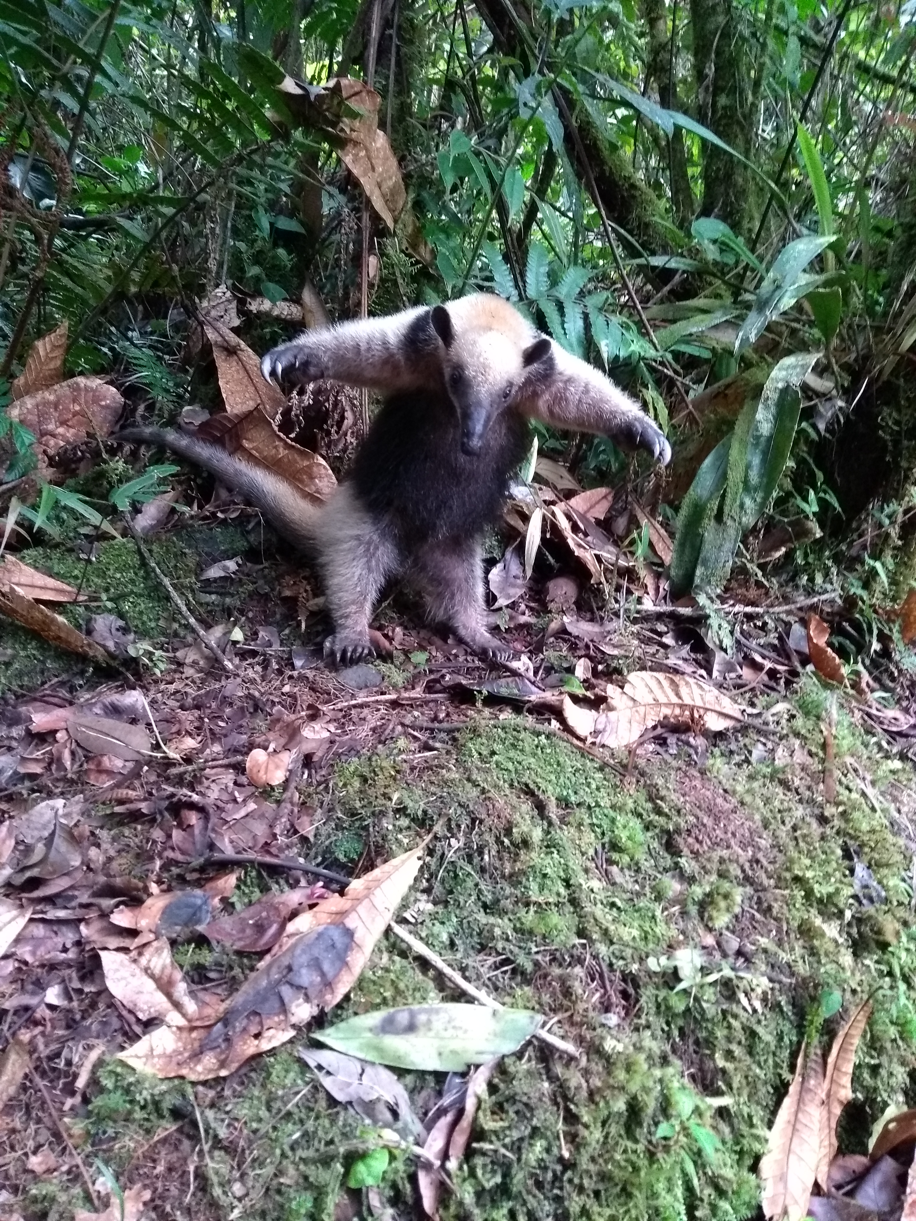 IMG_20180307_133814110